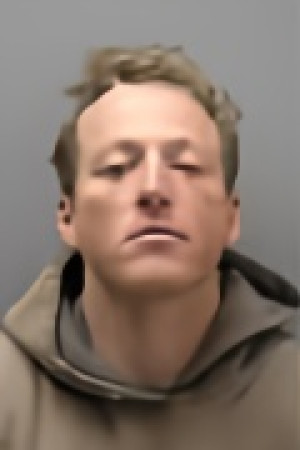 Mugshot of DENNIS AUSTIN MACE