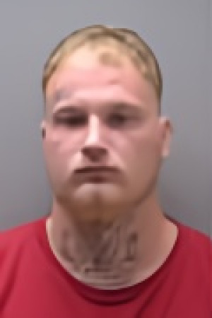 Mugshot of SEAN DALERAY PEDEN