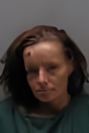 Mugshot of TIFFANY RENEE NICHOLS
