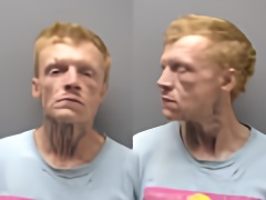 Mugshot of COLE ROBERT WOMACK