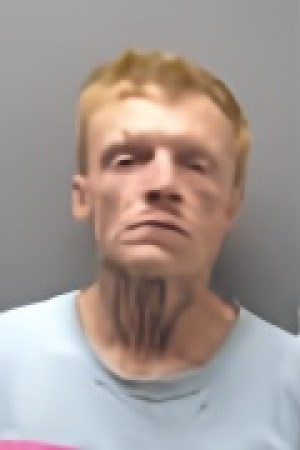 Mugshot of COLE ROBERT WOMACK