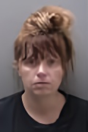Mugshot of KENNEDY LYN ANN SOLLARS