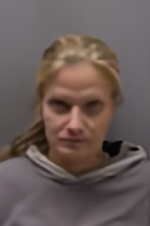 Mugshot of BRANDI LYNN GOSLIN