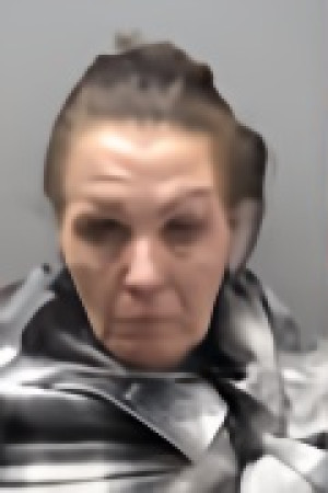 Mugshot of RONDA RENEE DANAHER