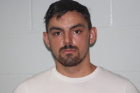 Mugshot of RICHARDS L BLEVINS