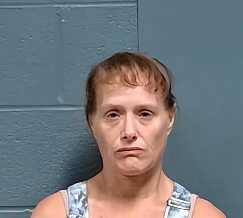 Mugshot of Joni Lee Wolfe