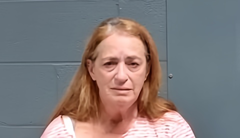 Mugshot of Annie Joyce Werner