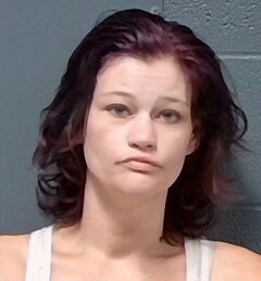 Mugshot of Brianna Michelle Likes