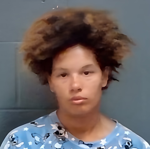 Mugshot of Leandra Raquel Walters