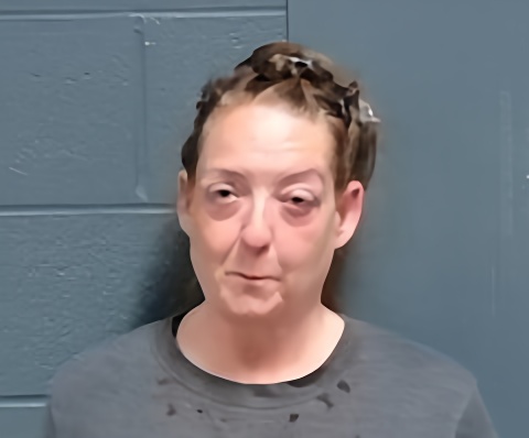 Mugshot of Elizabeth Ellen Mathes