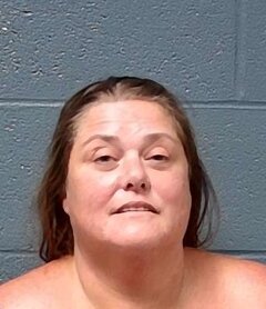 Mugshot of Dana Elaine Giboney