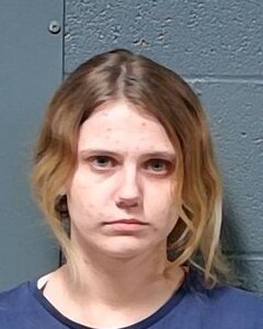 Mugshot of Amy Abram