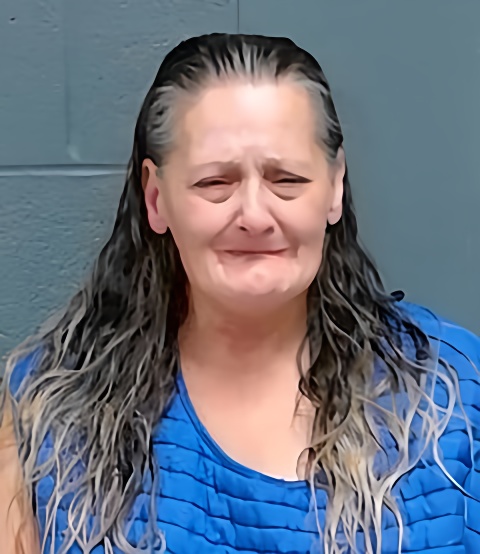Mugshot of Dayana Miholic-Cook