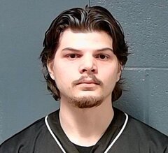 Mugshot of Delmar Montel Fritz-Lue