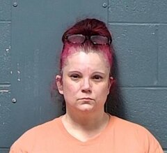 Mugshot of Rosemary Lavone Robinson