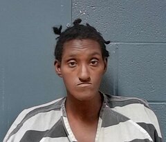 Mugshot of Dejena Rana Cheatom