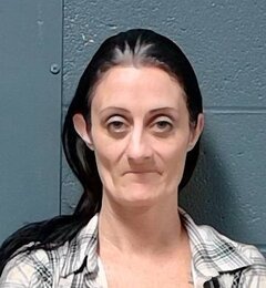 Mugshot of Desiree Victoria Fairbrother
