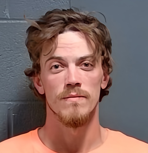 Mugshot of Brock William Heiland