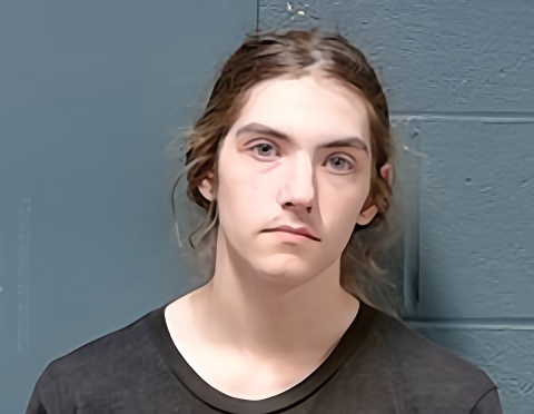 Mugshot of Skyler James Brown