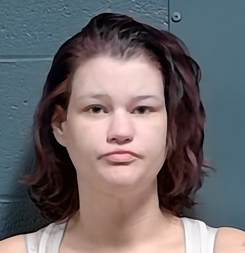Mugshot of Brianna Michelle Likes