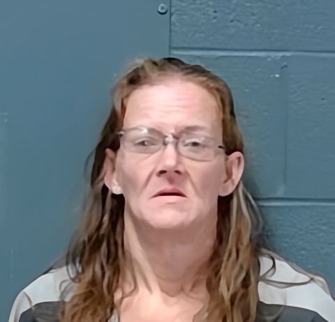 Mugshot of Rhonda Jane Threlkeld