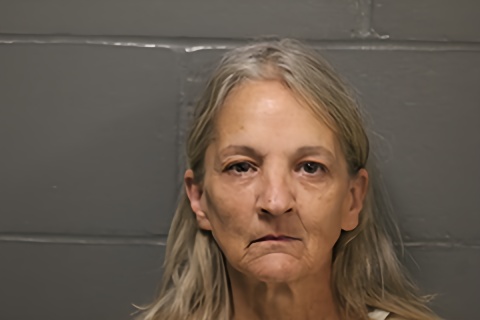 Mugshot of Lori Lynn Lewis