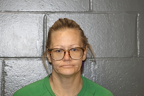 Mugshot of Chrystal Lynn Morrison