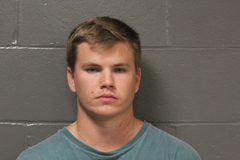 Mugshot of Charles Everts Stanton
