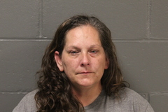 Mugshot of Amanda Rochelle Johnson