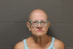 Mugshot of Shona Jane Turpin
