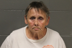 Mugshot of Judy Ann Ritter