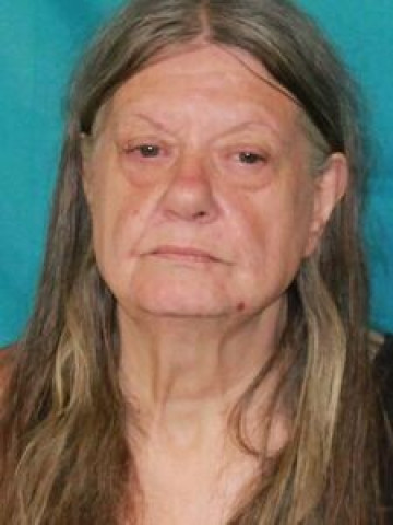 Mugshot of VICKEY SOLNER