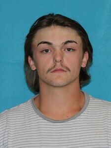 Mugshot of PERRY BLATTNER
