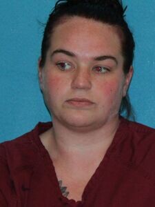 Mugshot of KAREN HAYDEN