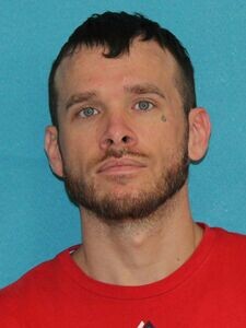 Mugshot of DAVID BILER