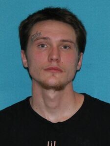 Mugshot of BLAKE WITCHER