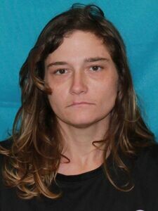 Mugshot of RENEE BOYD