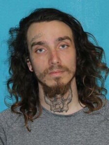 Mugshot of MICHEAL PULLEY