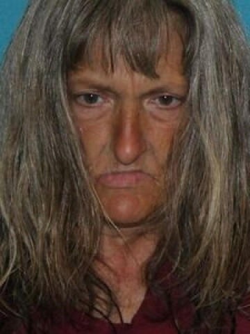 Mugshot of GINA ELLIOTT