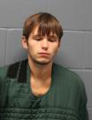 Mugshot of GAVIN LEE BURNS