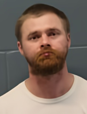 Mugshot of JONATHAN LEE JOHNSON
