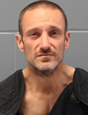 Mugshot of DAVID THOMAS WATSON