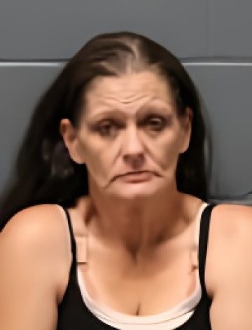 Mugshot of BRANDI NICOLE CHILDRESS