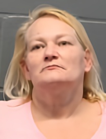 Mugshot of JULLIE ANN HOENSHELL
