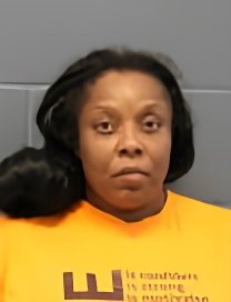 Mugshot of CHELSEA NICOLE HACKETT