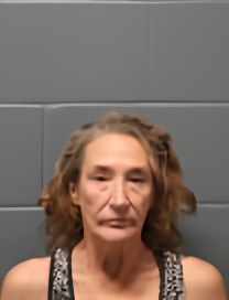 Mugshot of WENDY ANN CHANDLER