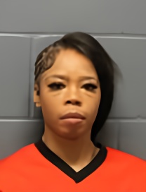 Mugshot of DIAMOND SIERRA WILLIAMS