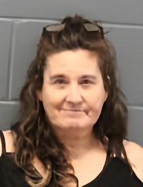 Mugshot of MISTY ELIZABETH LITTLE