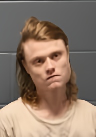 Mugshot of TYLER ROBERT HENNIGH
