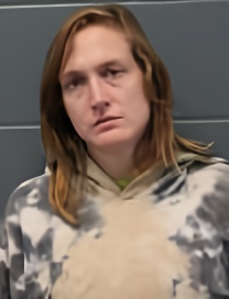 Mugshot of JESSICA ANN ROMIG